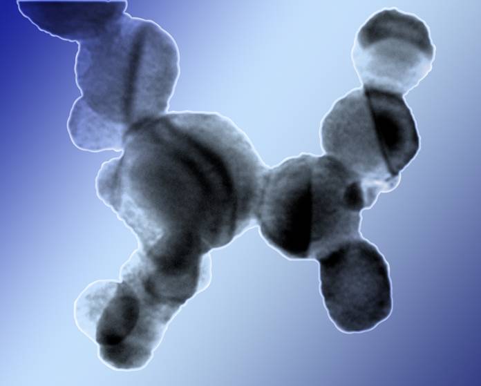 Nano-dog made of silver nanoparticles