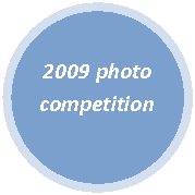 Oval: 2009 photo competition