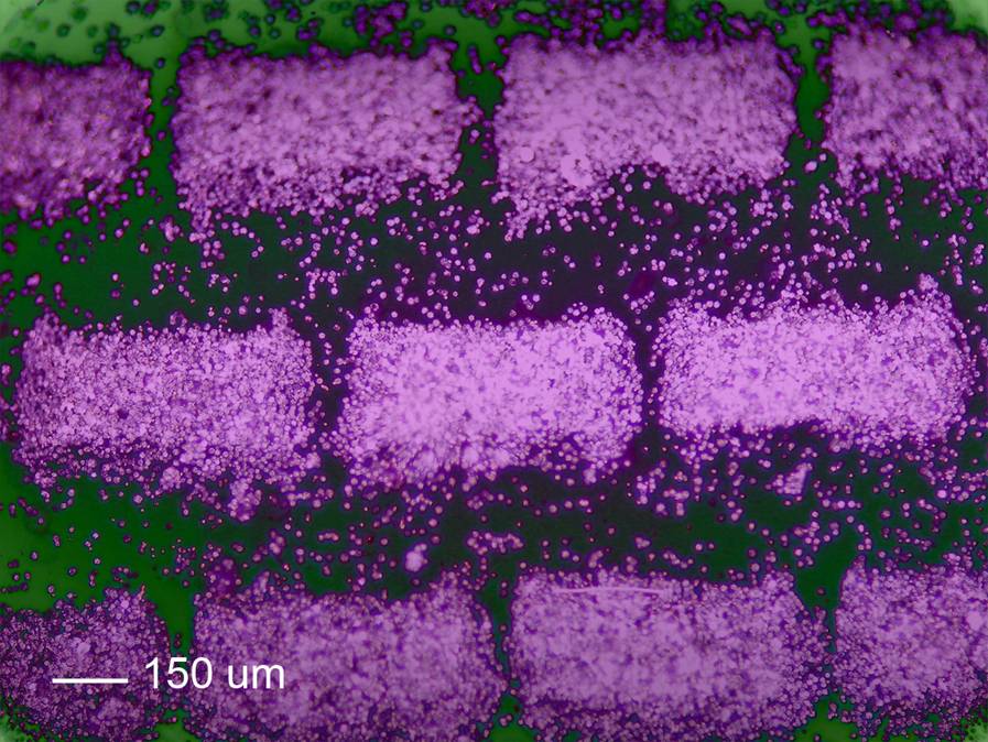 Large Hexagonal