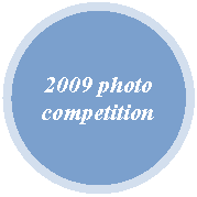 Oval: 2009 photo competition