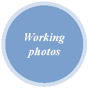 Oval: Working photos