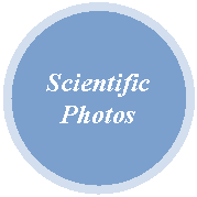 Oval: Scientific Photos
