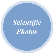 Oval: Scientific Photos