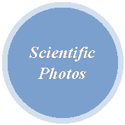 Oval: Scientific Photos