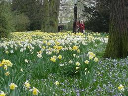http://www.clare.cam.ac.uk/images/grounds/avenue-02-01.jpg