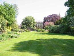http://www.clare.cam.ac.uk/images/grounds/gardenmay021.jpg