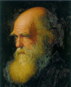 Darwin