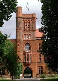 The Tower