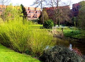 spring0208.jpg