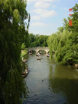 DSC05218
