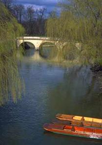 trinitypunts43