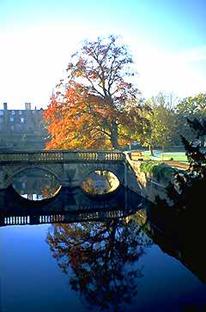 riverscene75